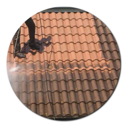 Nettoyage de toiture Deux-Sèvres 79